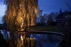 outdoor pond lighting