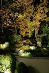 outdoor landscape lighting